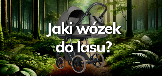 Jaki wózek do lasu - Blog - Sklep-Smile.pl