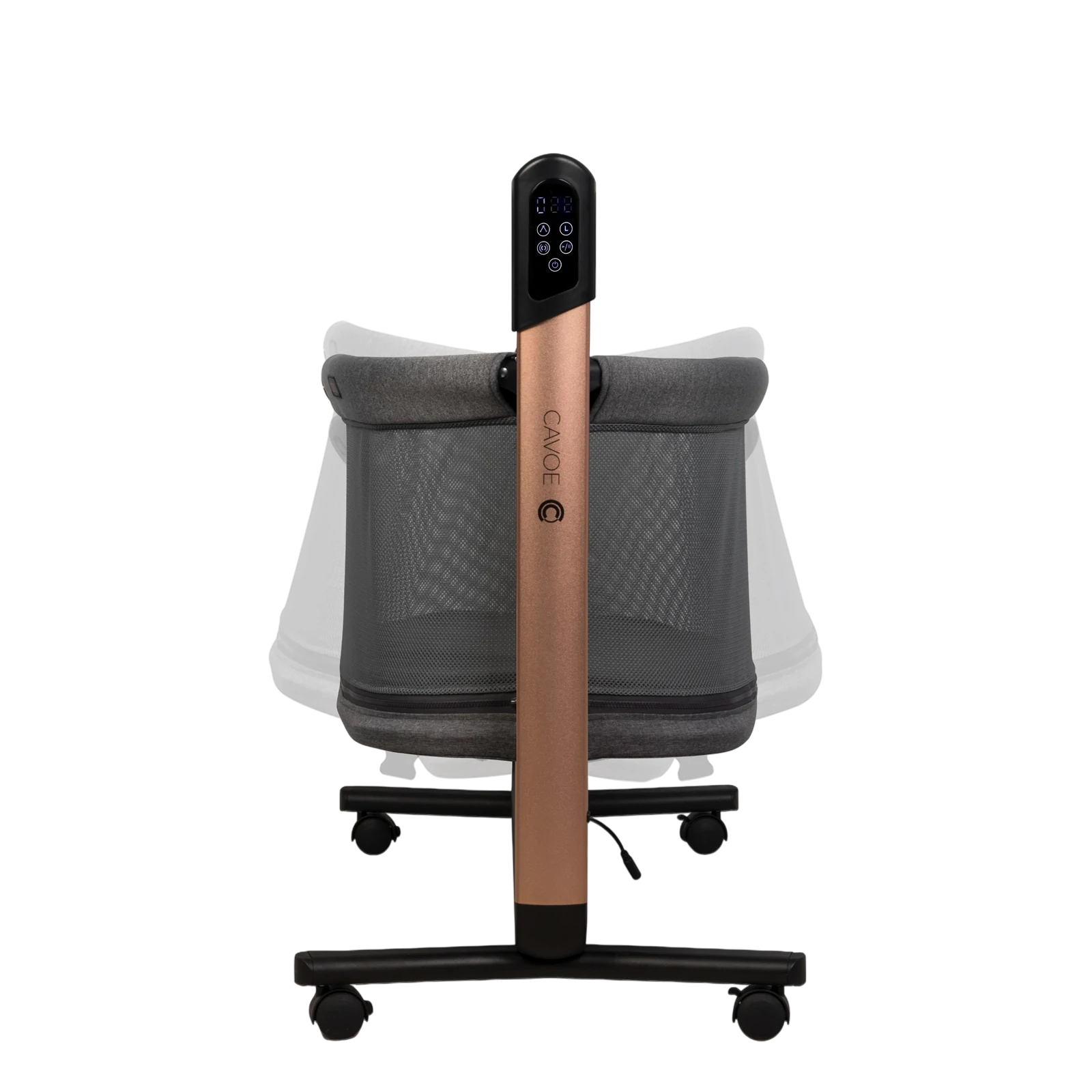 Cavoe Coq | Meteorite