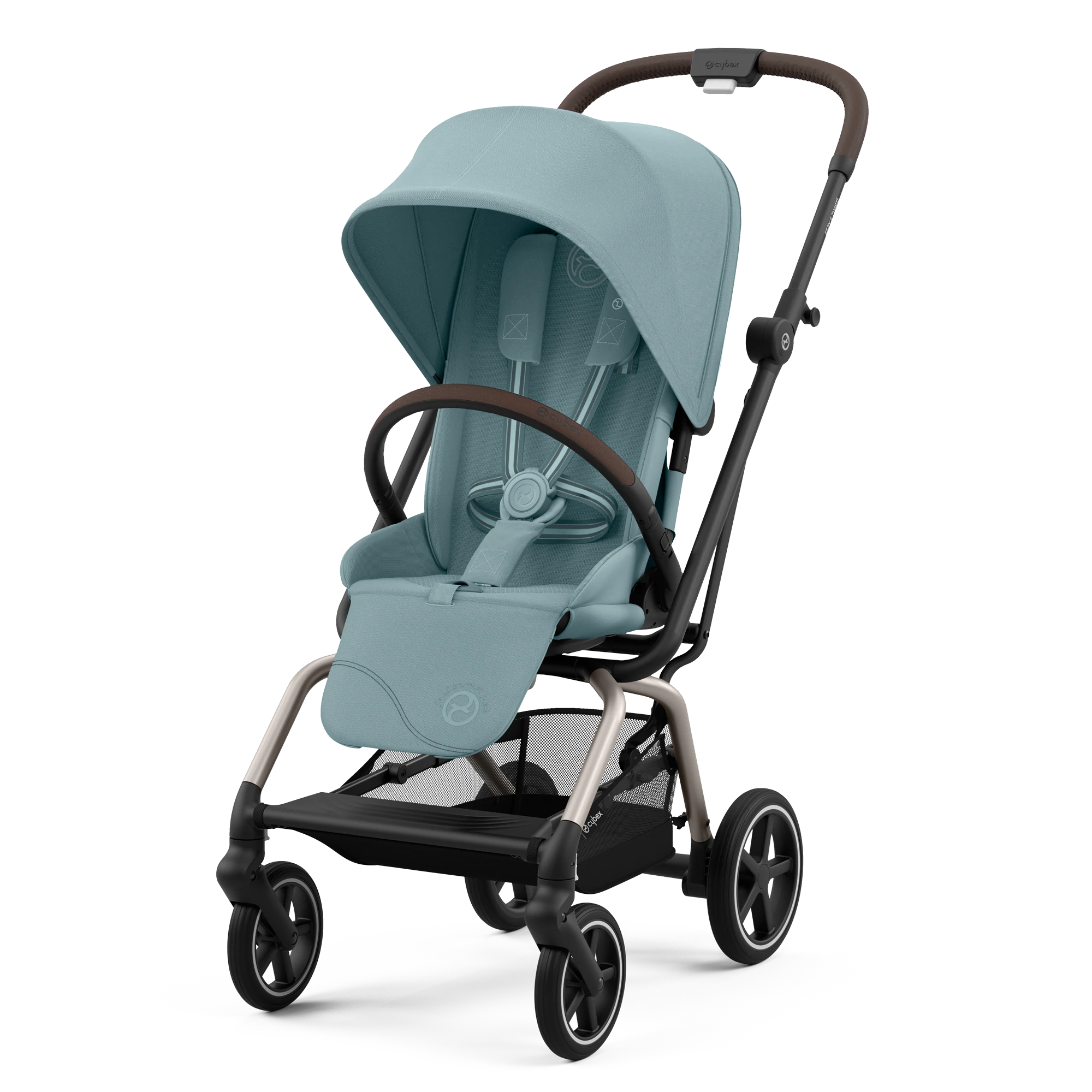 Stormy Blue (Taupe Frame)