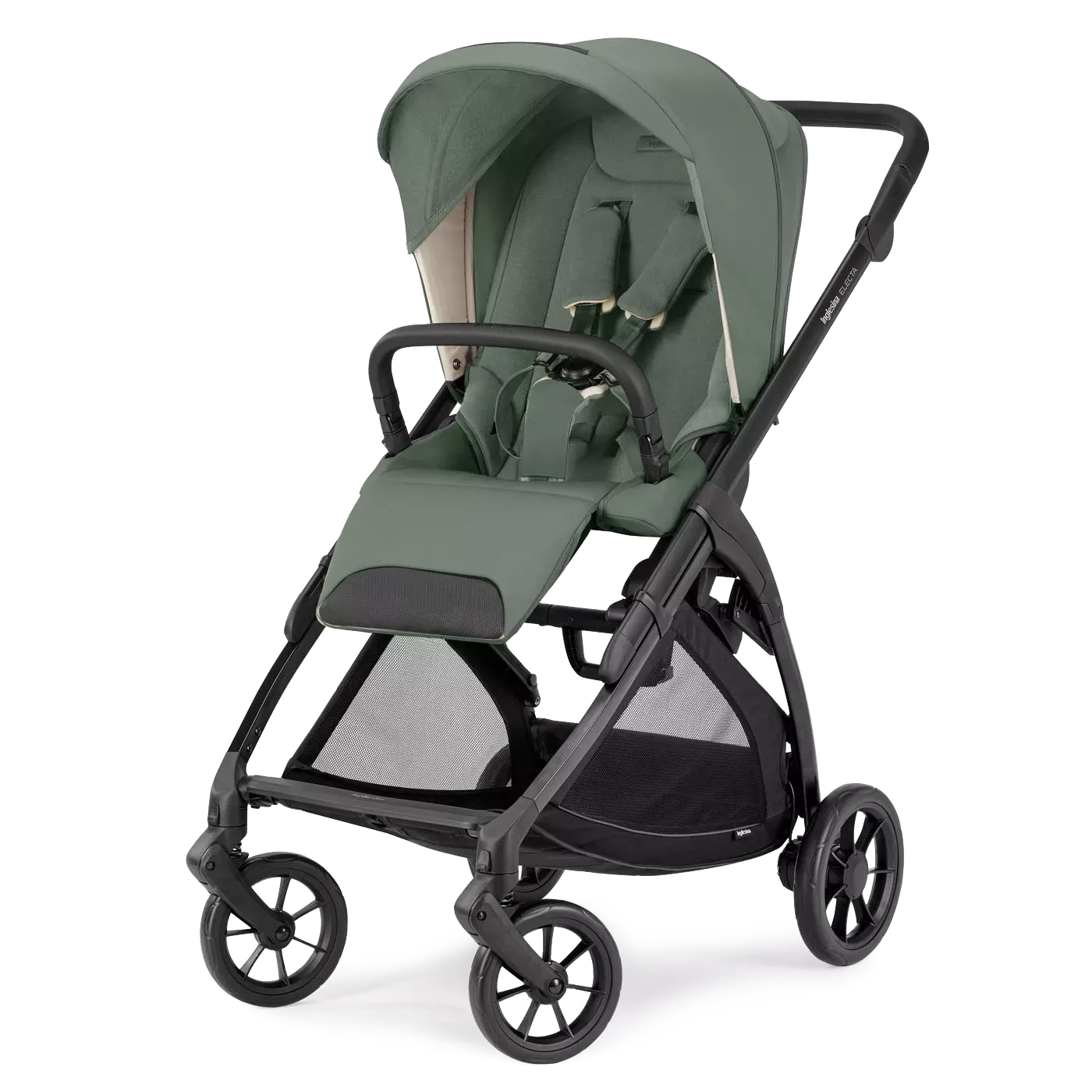 Inglesina Electa | Murray Green