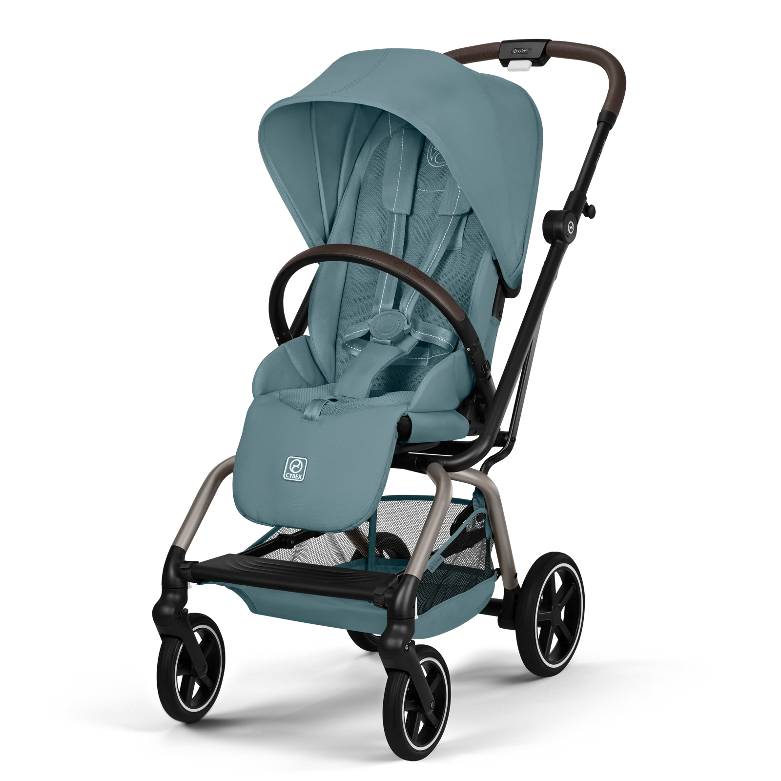 Stormy Blue (Taupe Frame)
