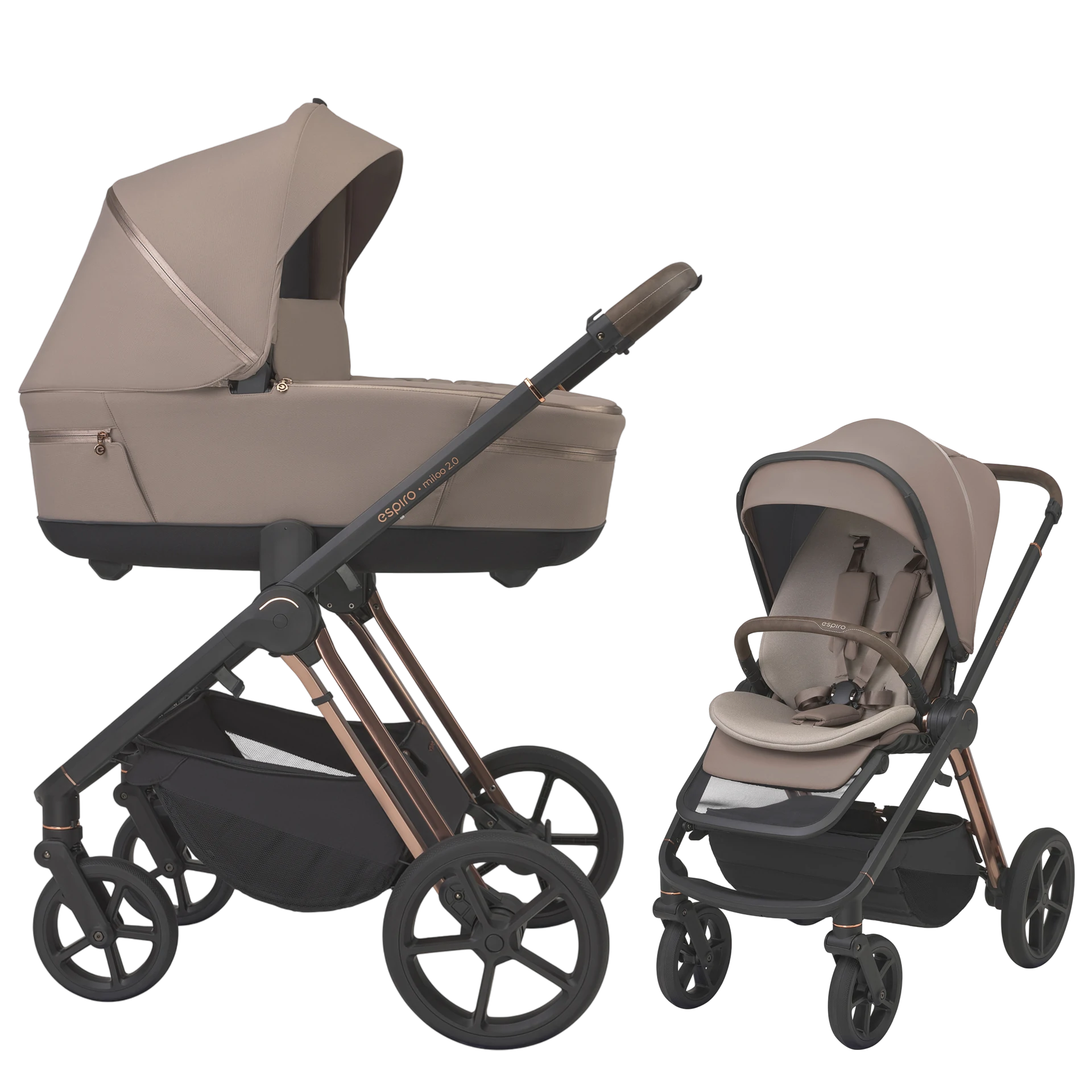 309 Tasty Cappuccino