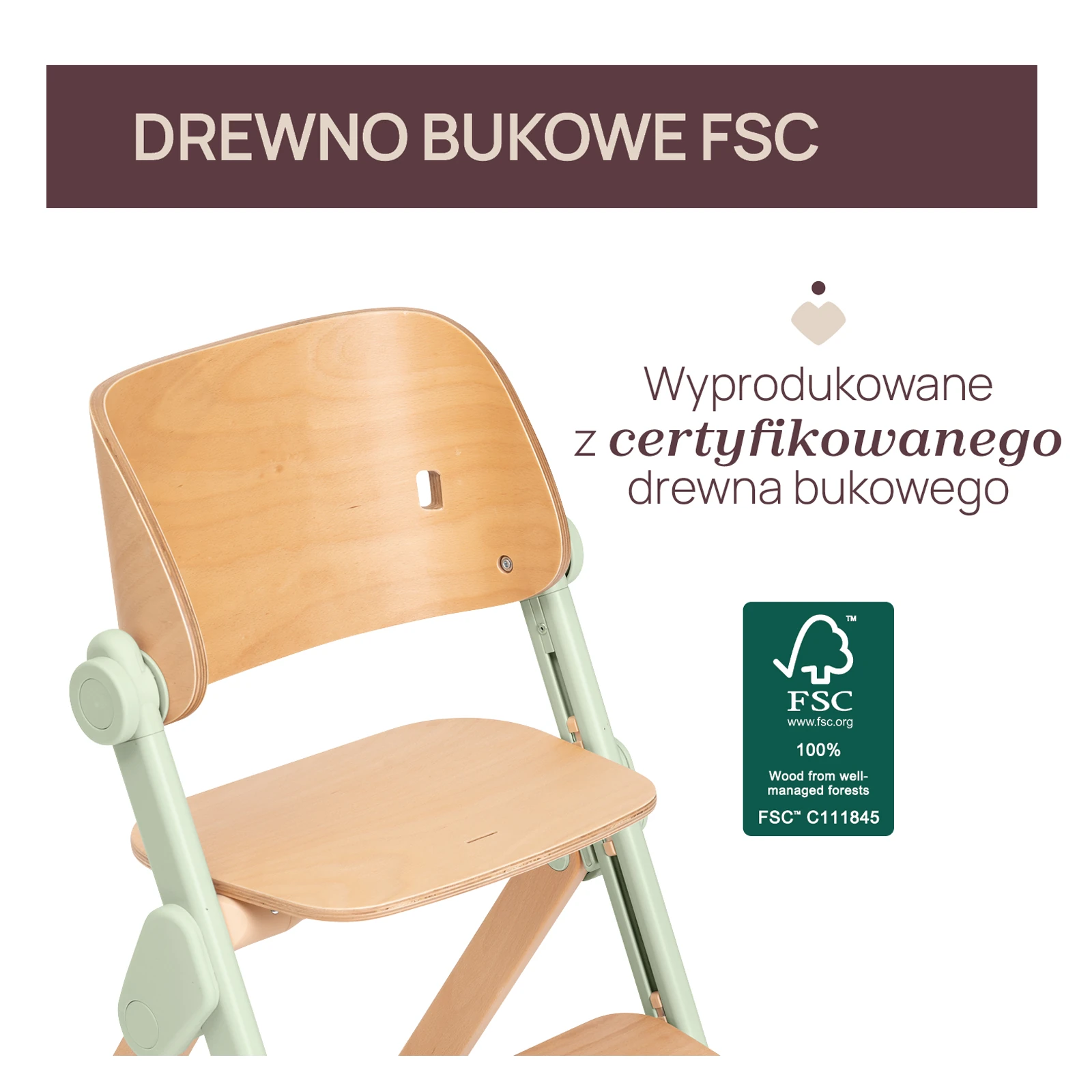 Chicco Meraviglia | Olive
