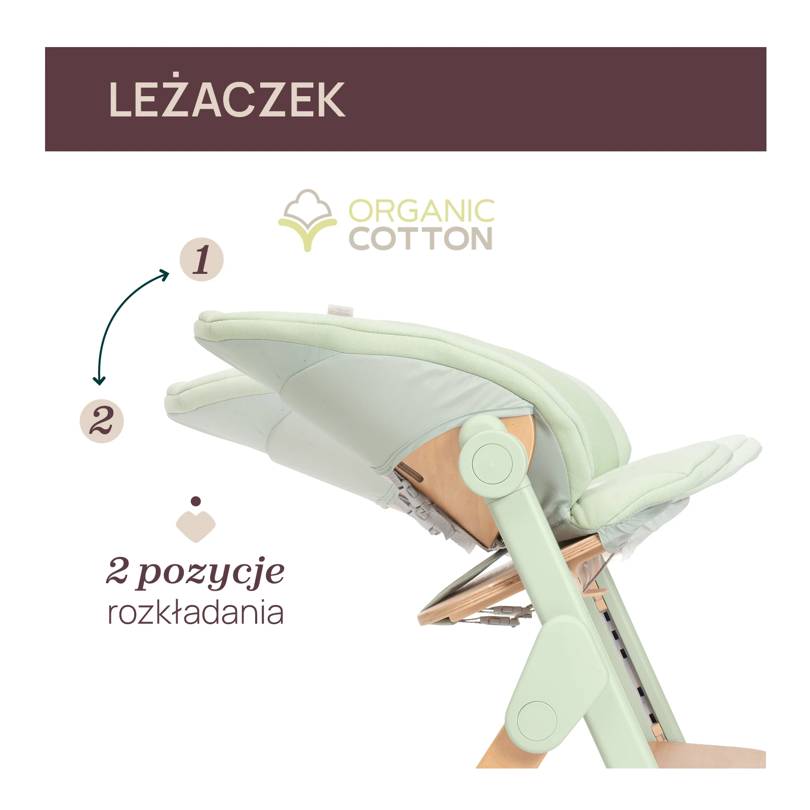 Chicco Meraviglia | Olive