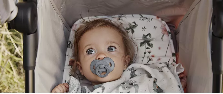 wkładka elodie mondo