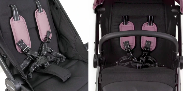 carrello delta pasy