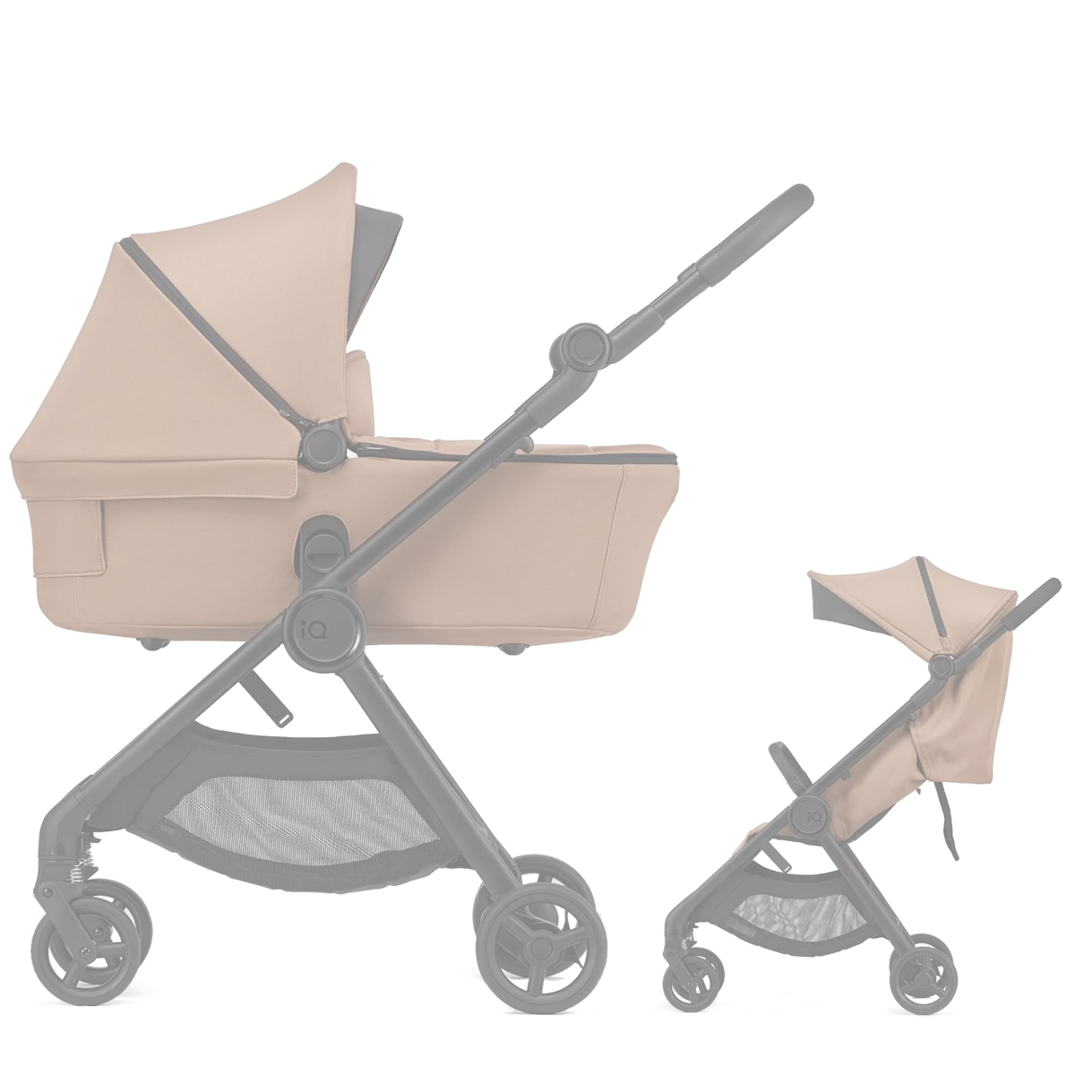 Anex IQ Basic - 2w1 | Sienna